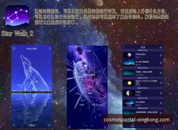星空中国平台 星空入口平台实用指南:从安全下载到创新体验的完整路径