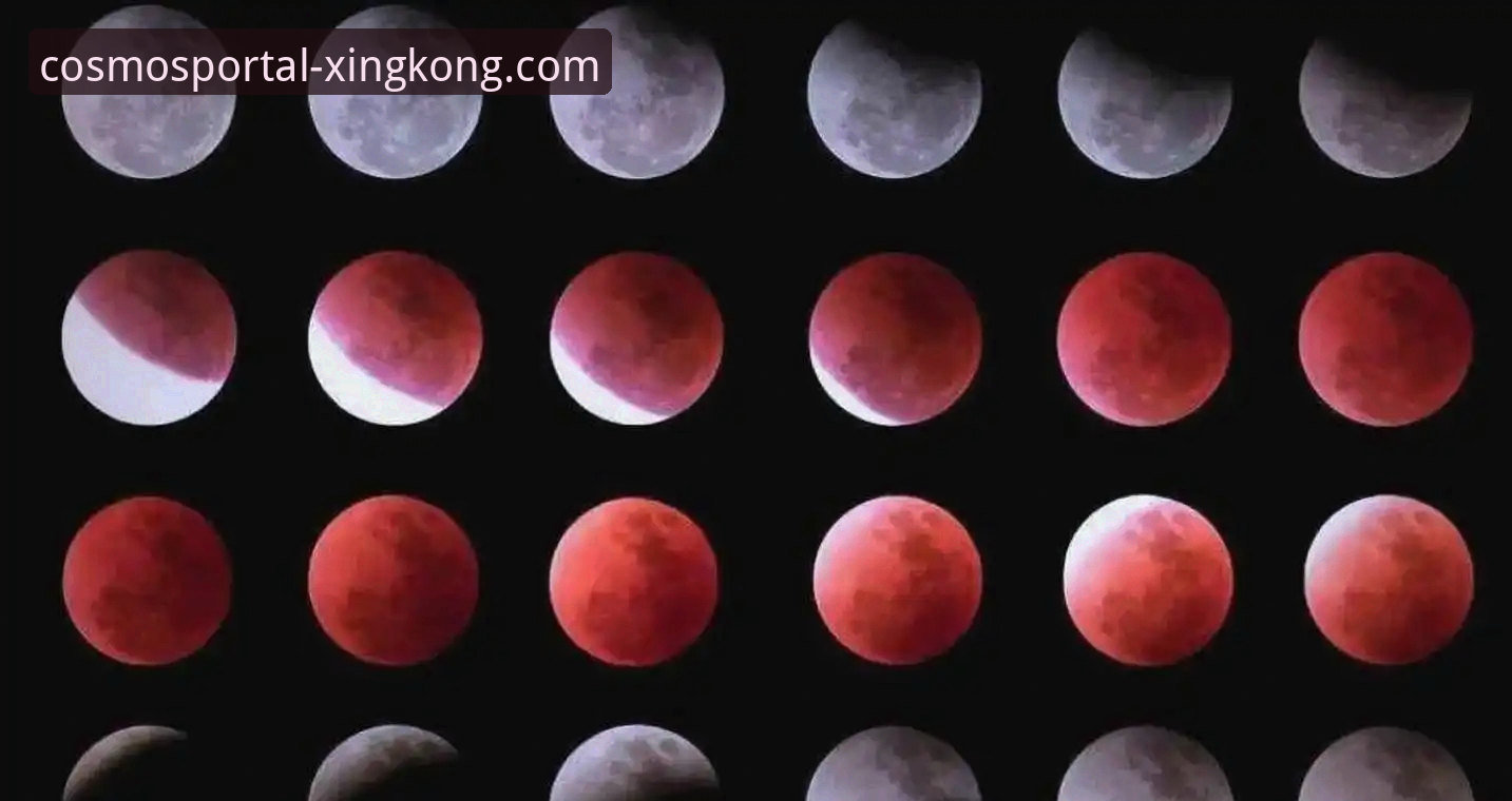 2026星空中国官网入口 星空入口平台:2026星空中国官网入口全面评测与前瞻探索